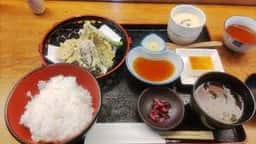 円芯