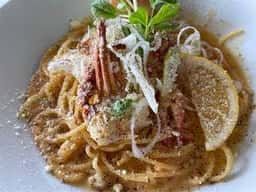 トランジット カフェ