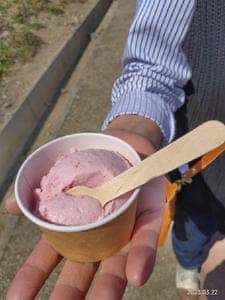 やまもと夢いちごの郷 スイーツコーナー