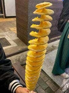 京都たこぱん