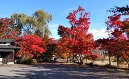 アンティークカフェ あうん亭 きみまろ茶や