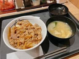 松屋 / マイカリー食堂 国立店