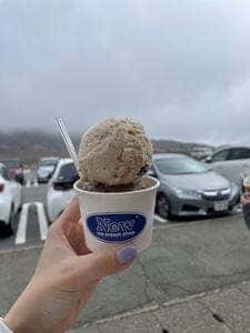 New ice cream shop