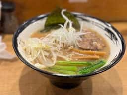 Japanese TOTTORI Needle 藤喜