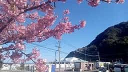 つくみマルシェ