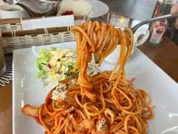 pollo lepo