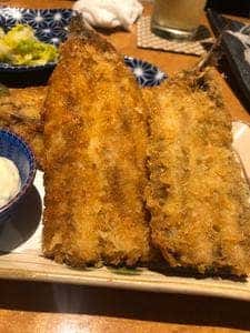 たつや