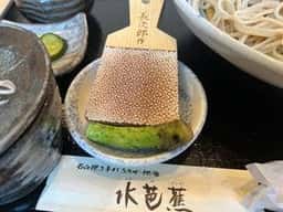 水芭蕉