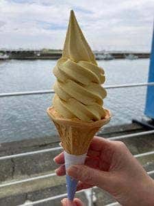 OISO CONNECT