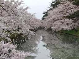 三忠 塩分町分店