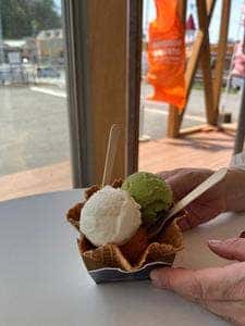 オレンジジェラート