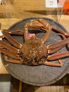 日本料理 川畑