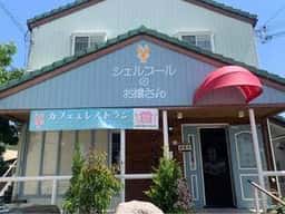 シェルブールのお嬢さん