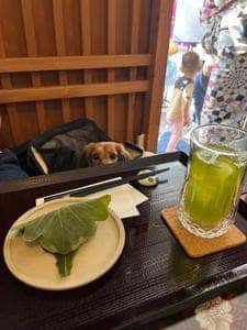 茶凛