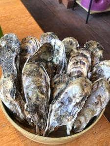 浜焼き 白浜家