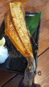 ジャイアントパンダ