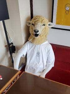 間借りなかれー