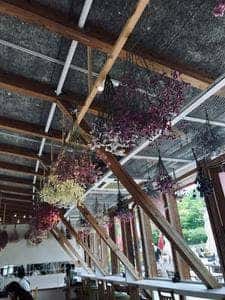 Dining & Cafe Rose Table ぎふワールド・ローズガーデン