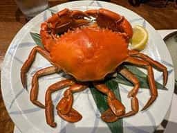 魚料理専門 魚魚一