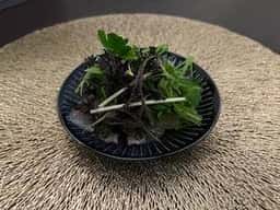 Kitchen プルトワ