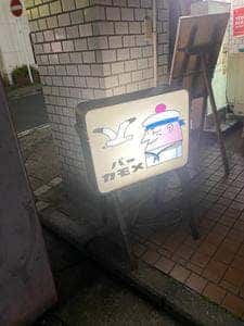 バーカモメ