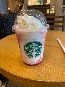 スターバックス コーヒー 札幌ステラプレイス店