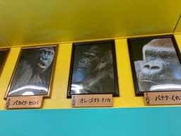 ゴリラによる人間のためのバナナジュース