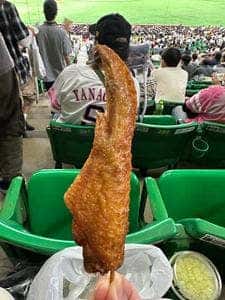 とめ手羽 福岡PayPayドーム店