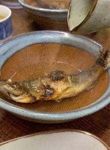 国見温泉 森山荘