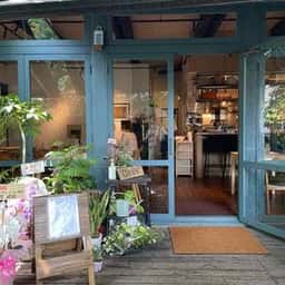 chez petit chat noir