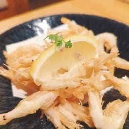 魚とおだし しずく