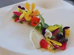 プレゼンテ スギ