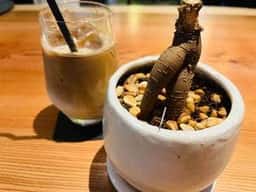 COFFEE&DESSERT S CAFE