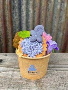 BLUE KETTLE
