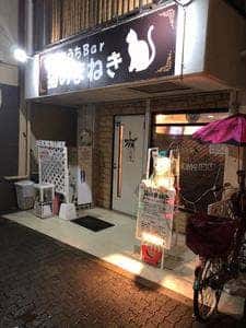 おうちBar 猫のまねき