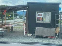 たこやき ゆきち