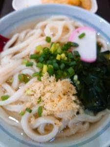 綾歌うどん
