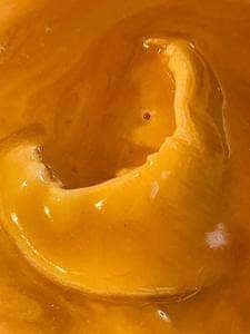 中国料理 天廣堂