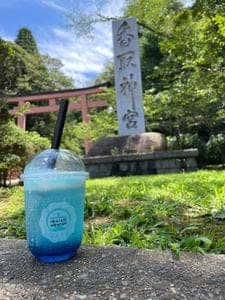 岩立本店