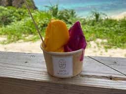 Ikemajima gelato cafe Ninufa