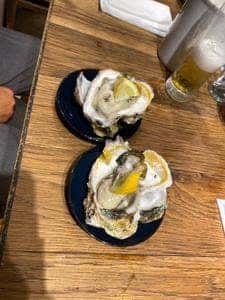 VIGO OYSTERBAR