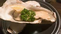 伊達藩長屋酒場