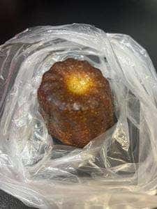 ブランジェベックファン