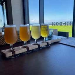 SOUTH HORIZON BREWING