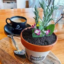 ザファームカフェ