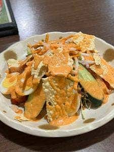ガガンビュー