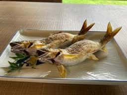 荒川森田城やな