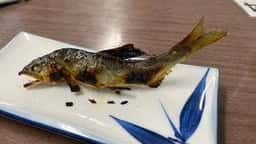 寒狭川広見ヤナ場