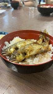 寒狭川広見ヤナ場