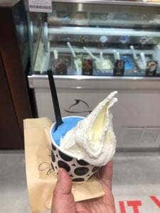 円山ジェラート 茶屋